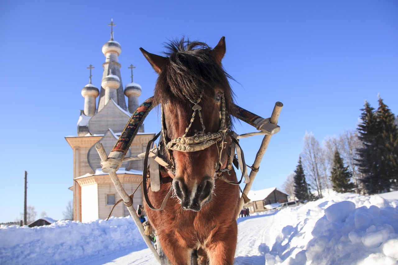 Изображения.